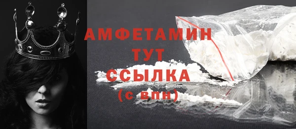 сатива Инсар