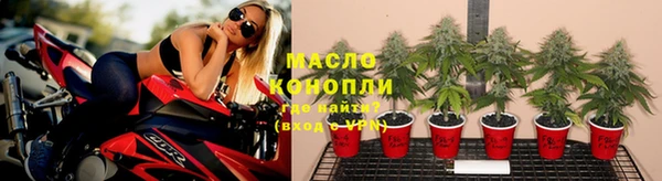 спайс Инта