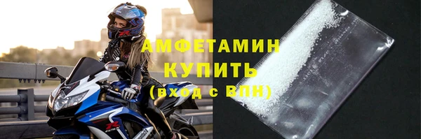 сатива Инсар