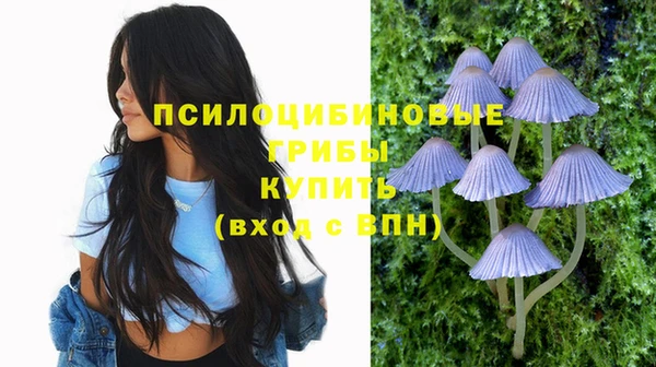 молекула духа Иннополис
