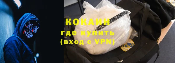 сатива Инсар