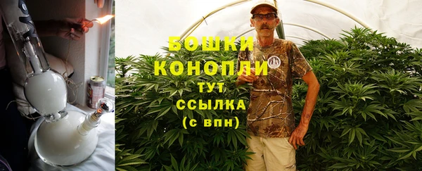 сатива Инсар