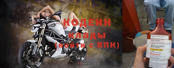 молекула духа Иннополис