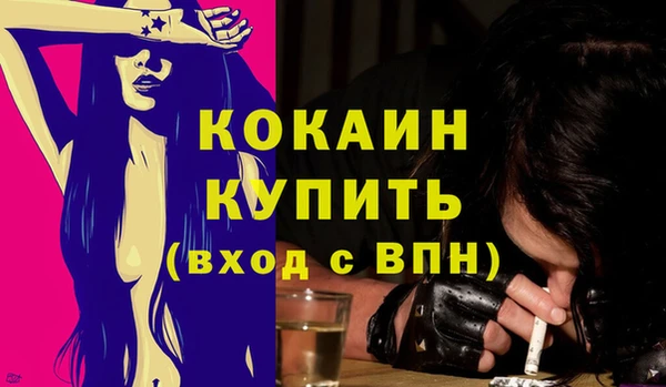 спайс Инта