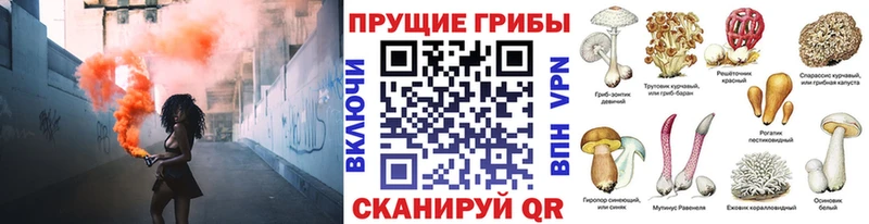 Купить  Полысаево  Галлюциногенные грибы прущие грибы 
